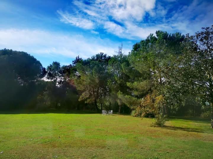 Apartament Printemps Quatre Saisons Bergerac Zewnętrze zdjęcie